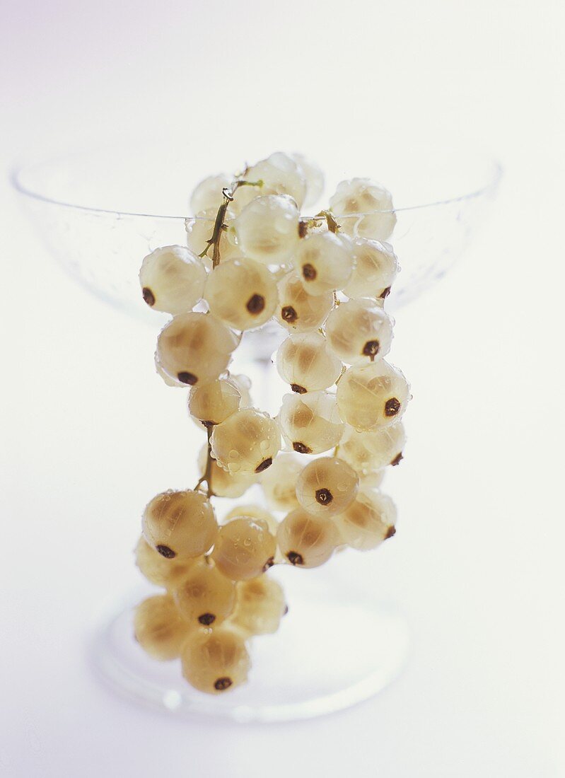 White currants hanging over the rim of a glass
