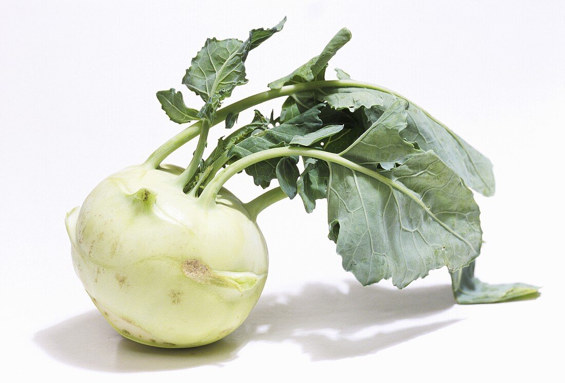 Ein Kohlrabi