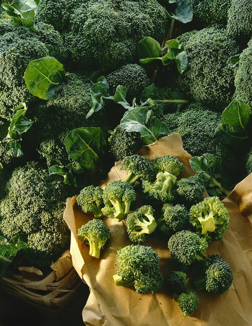 Brokkoli: Broccoliköpfe und Röschen