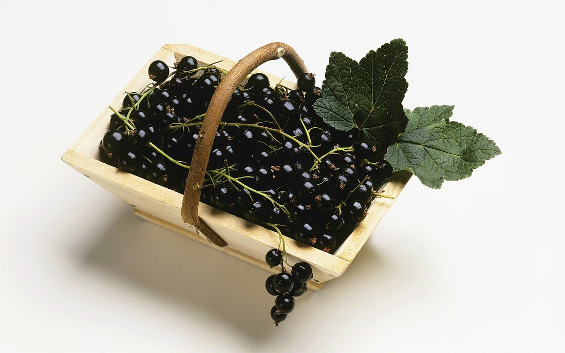 Blackcurrants in a wooden basket