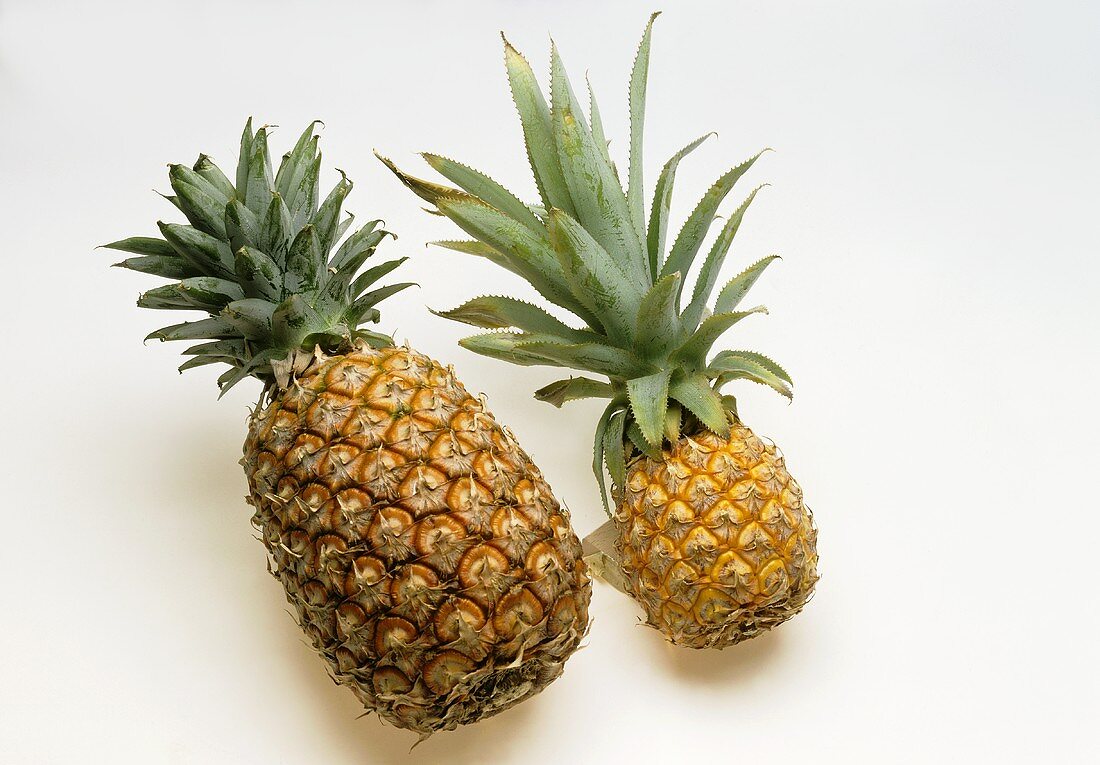 Pineapple and baby pineapple
