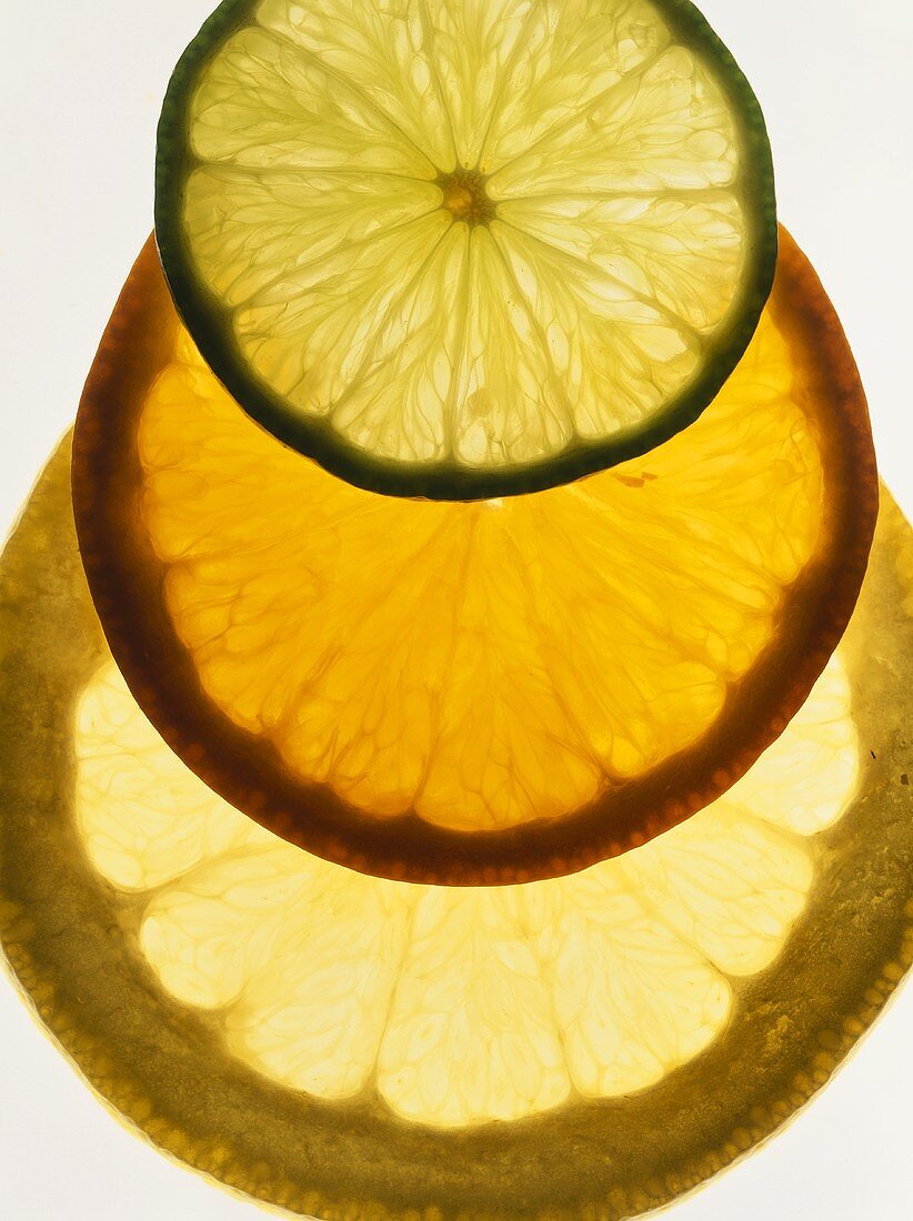 Limetten-, Orangen- & Grapefruitscheibe im Gegenlicht