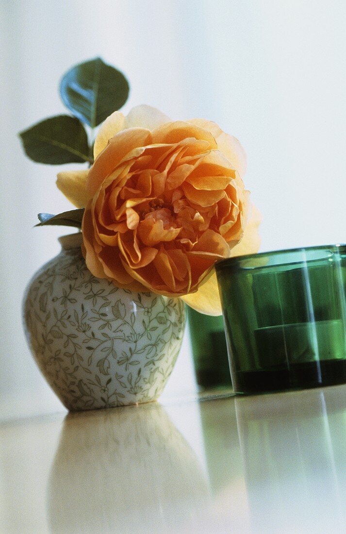 Orange rose in vase, green tealights beside it