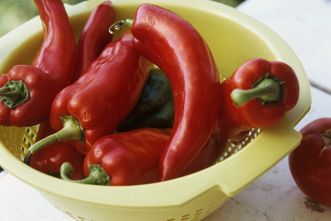 Pointed peppers in a colander