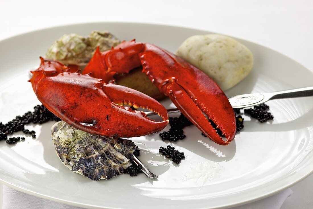 Lobster, oysters and caviar on plate