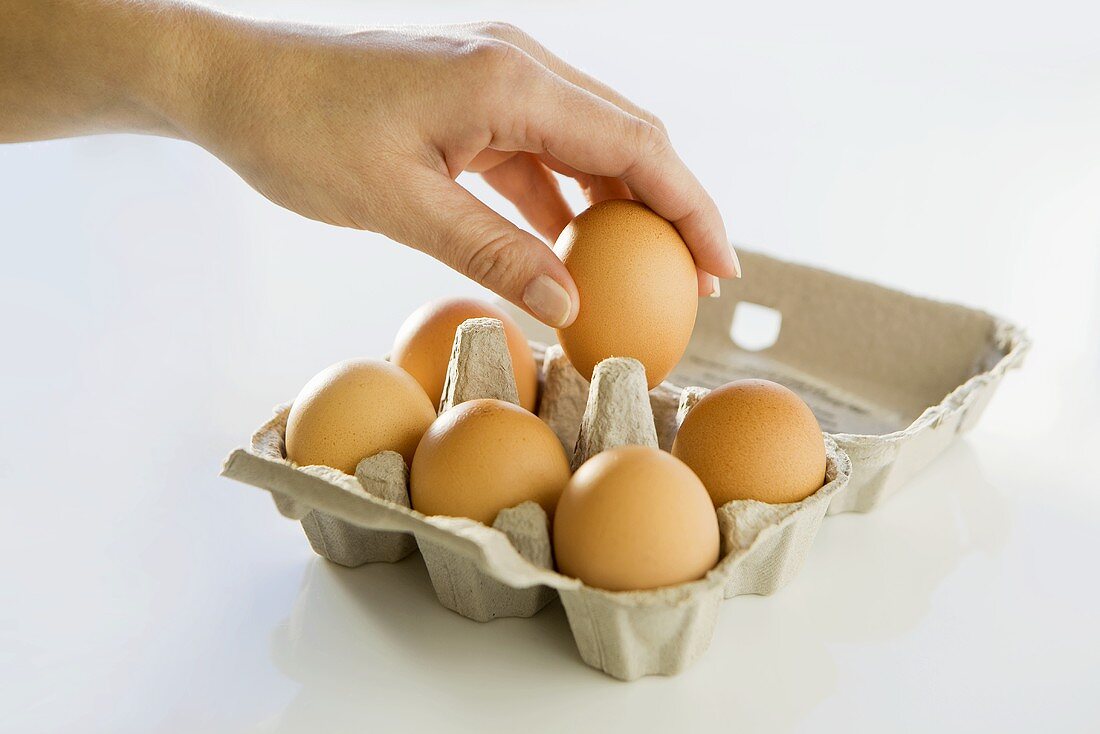 Hand nimmt Ei aus Eierkarton