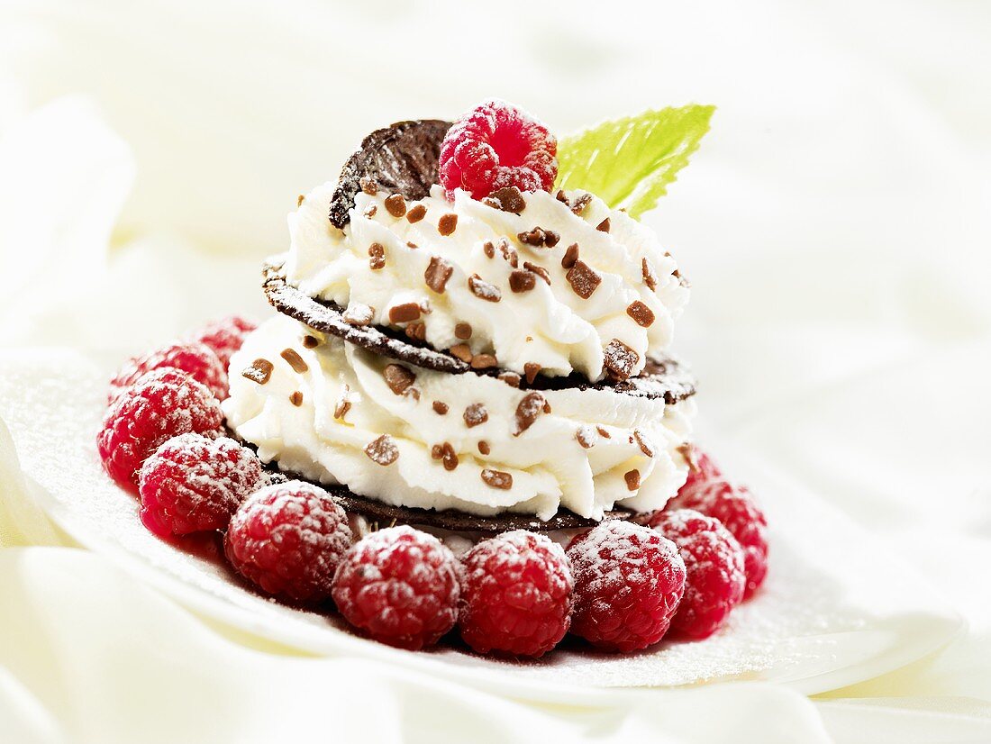 Chocolate wafer and cream fancy garnished with raspberries