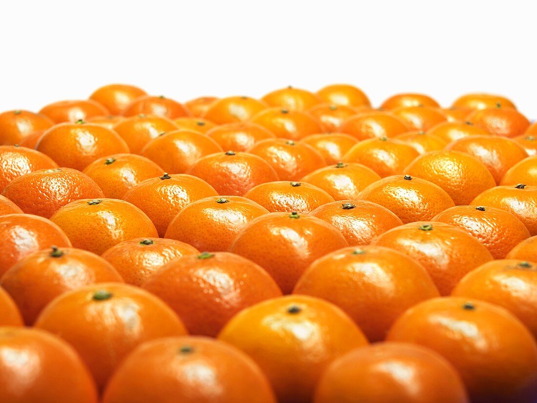 Mandarin oranges in rows
