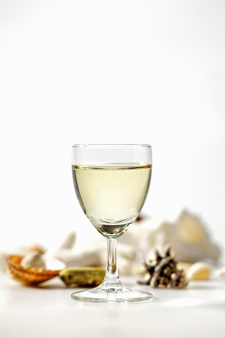 Glass of white wine surrounded by shells