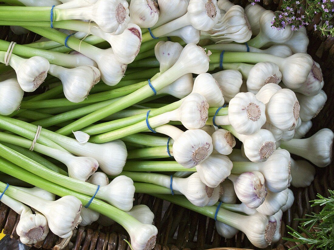 Fresh garlic on a market stall