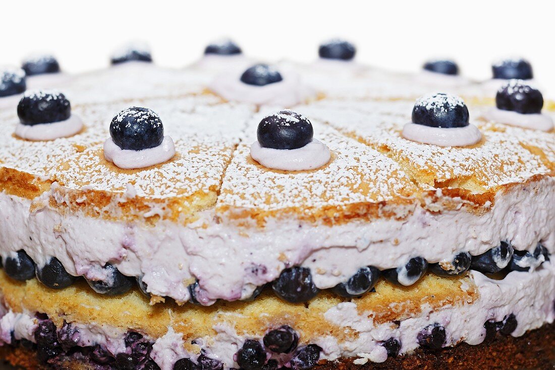 Blueberry cake (close-up)
