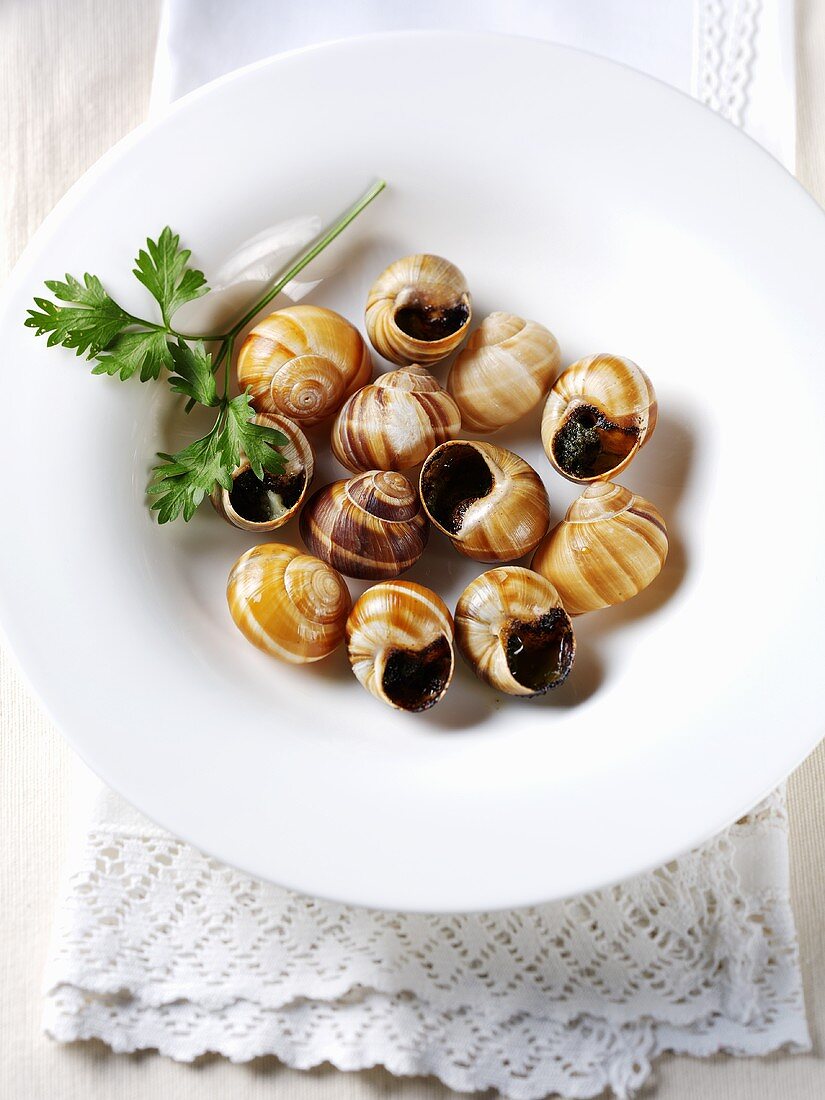 Cooked snails with parsley and garlic