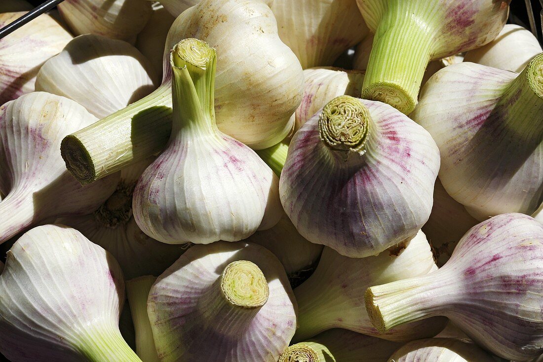 Fresh garlic bulbs (full-frame)