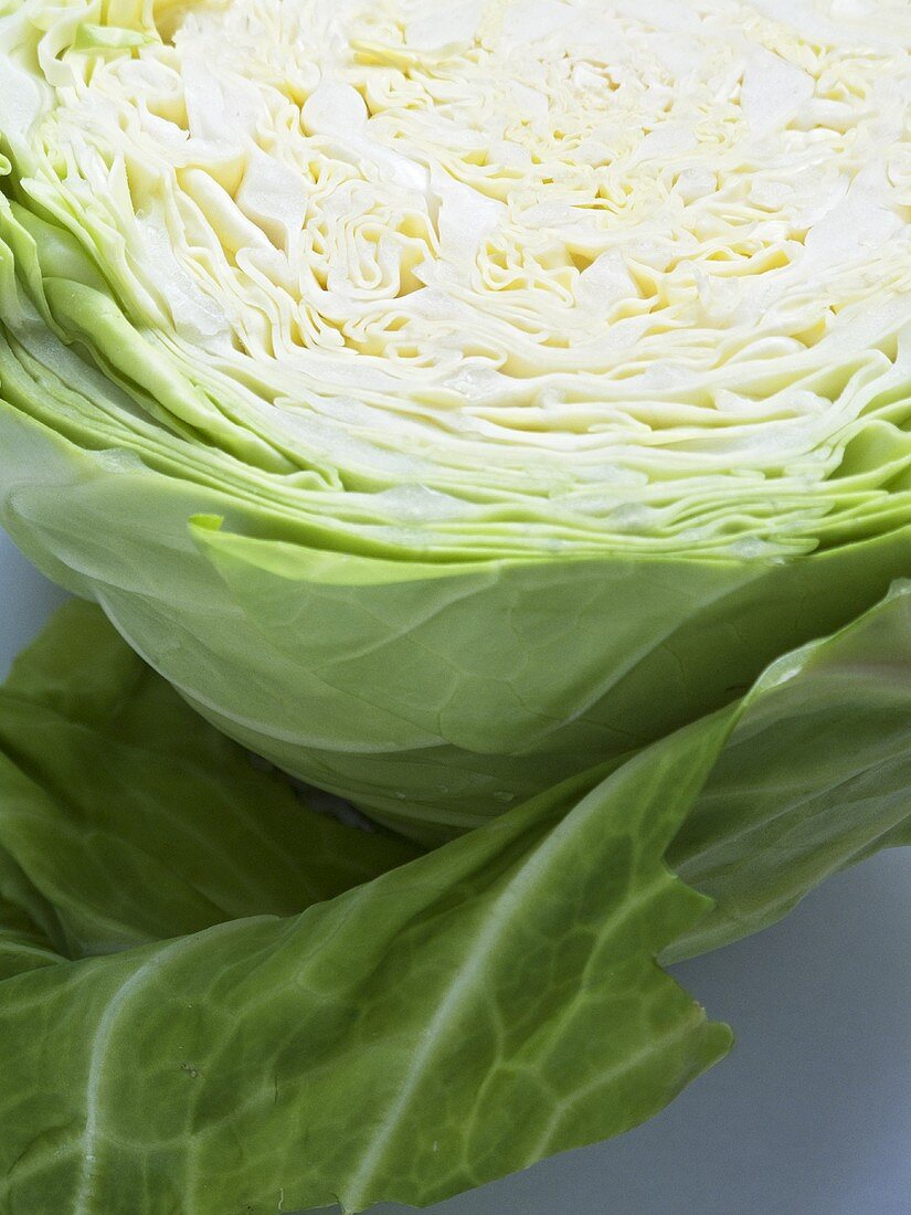 Pointed cabbage (detail)