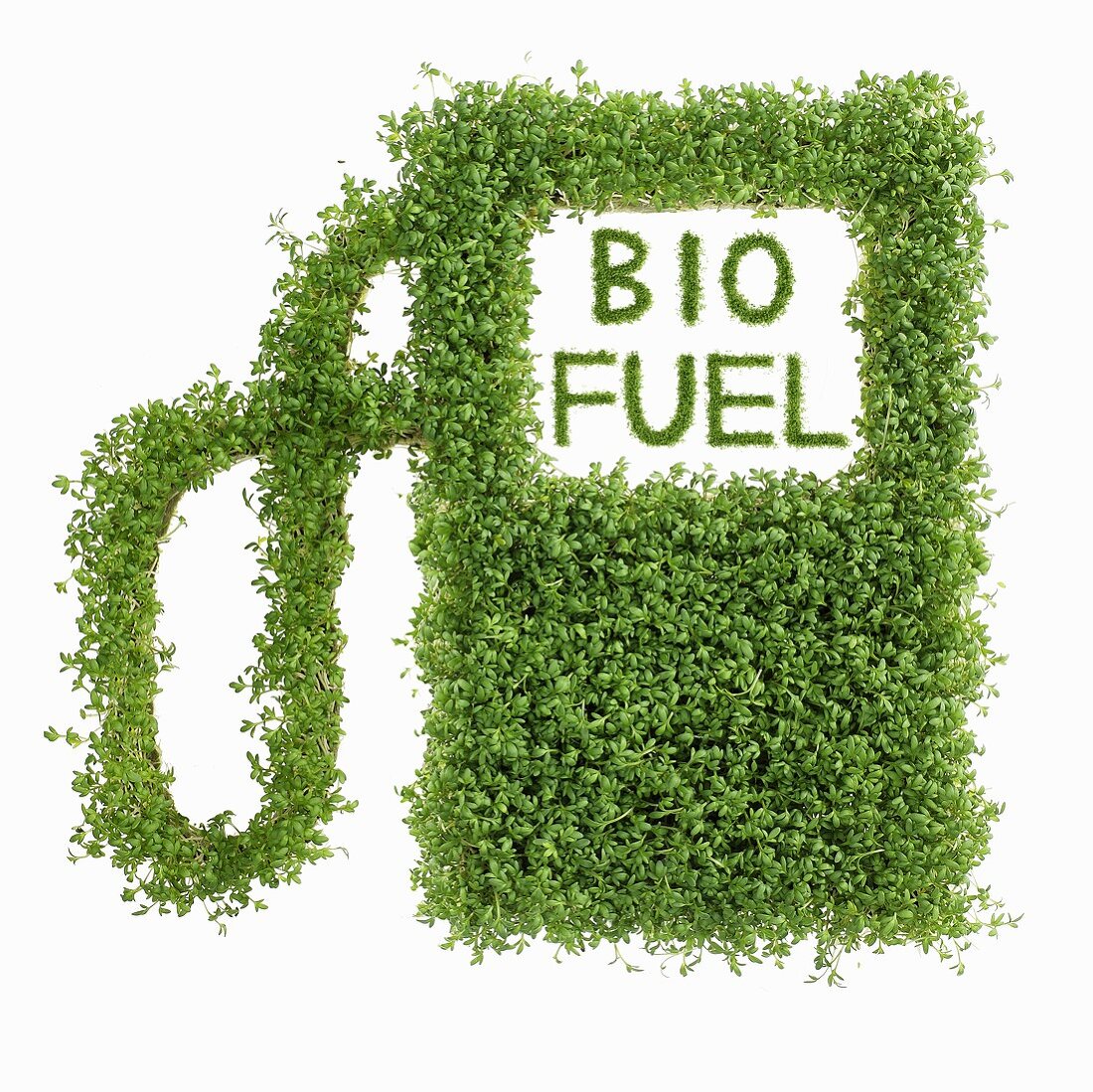 Image symbolising biofuel (n cress)