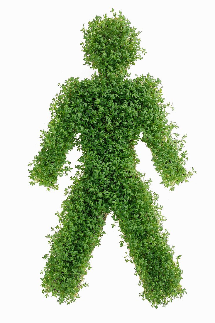 Figure symbolising man (in cress)