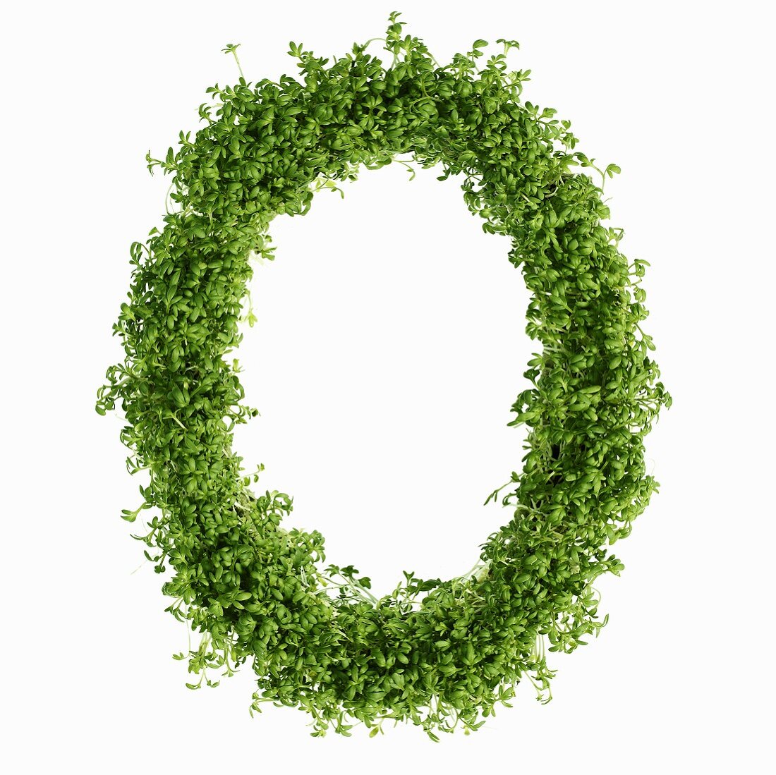 The letter O in cress