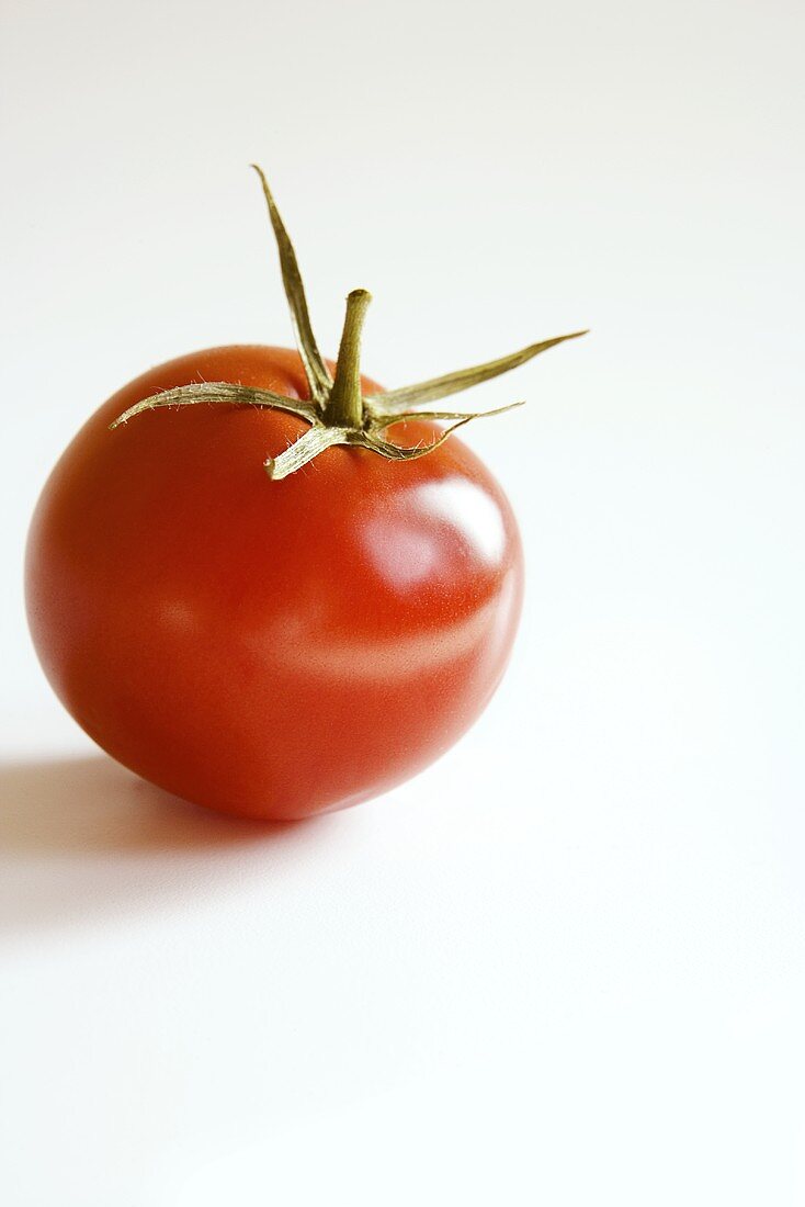 Whole Tomato on White Background