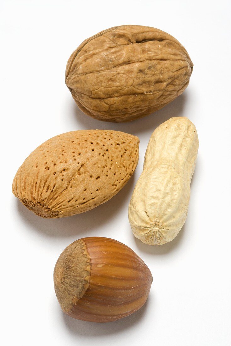 Walnut, almond, peanut and hazelnut