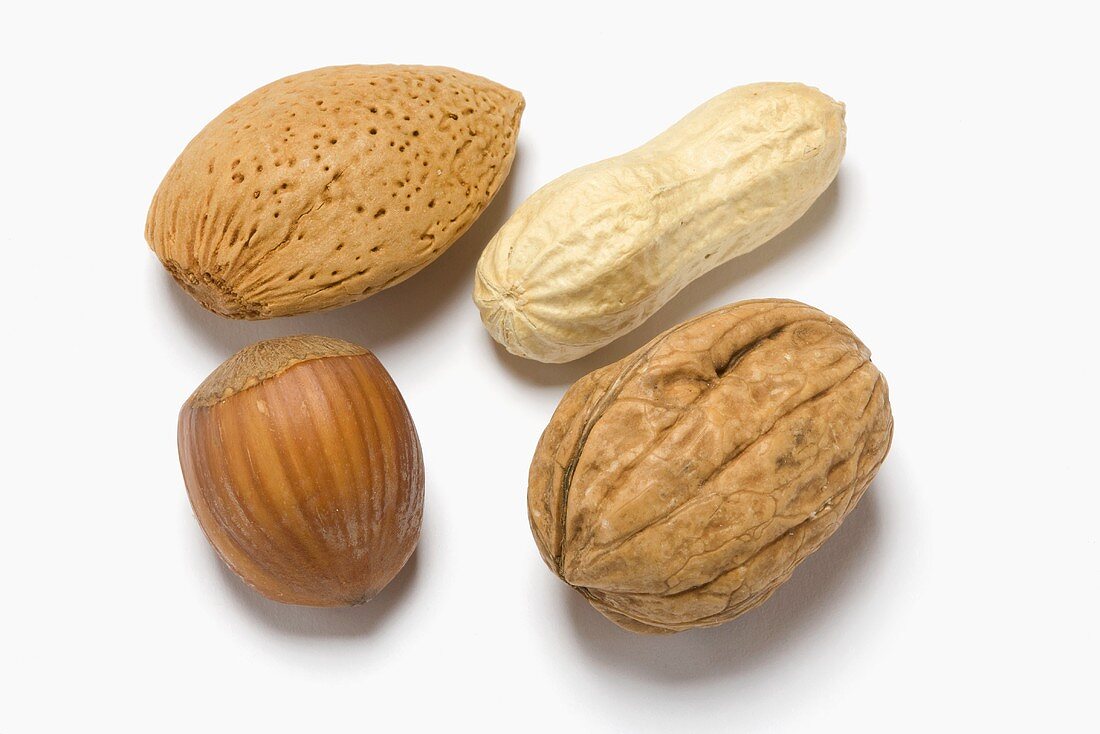 Almond, hazelnut, peanut and walnut