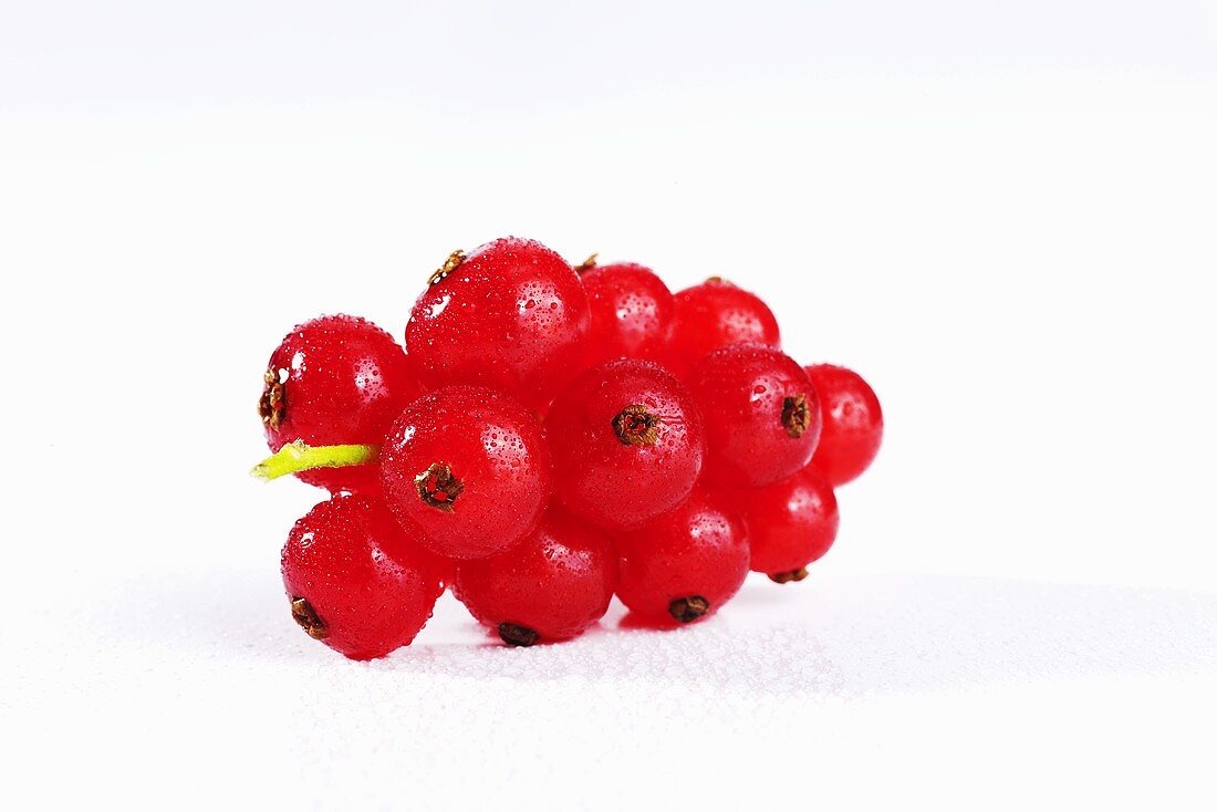 Rote Johannisbeeren mit Wassertropfen