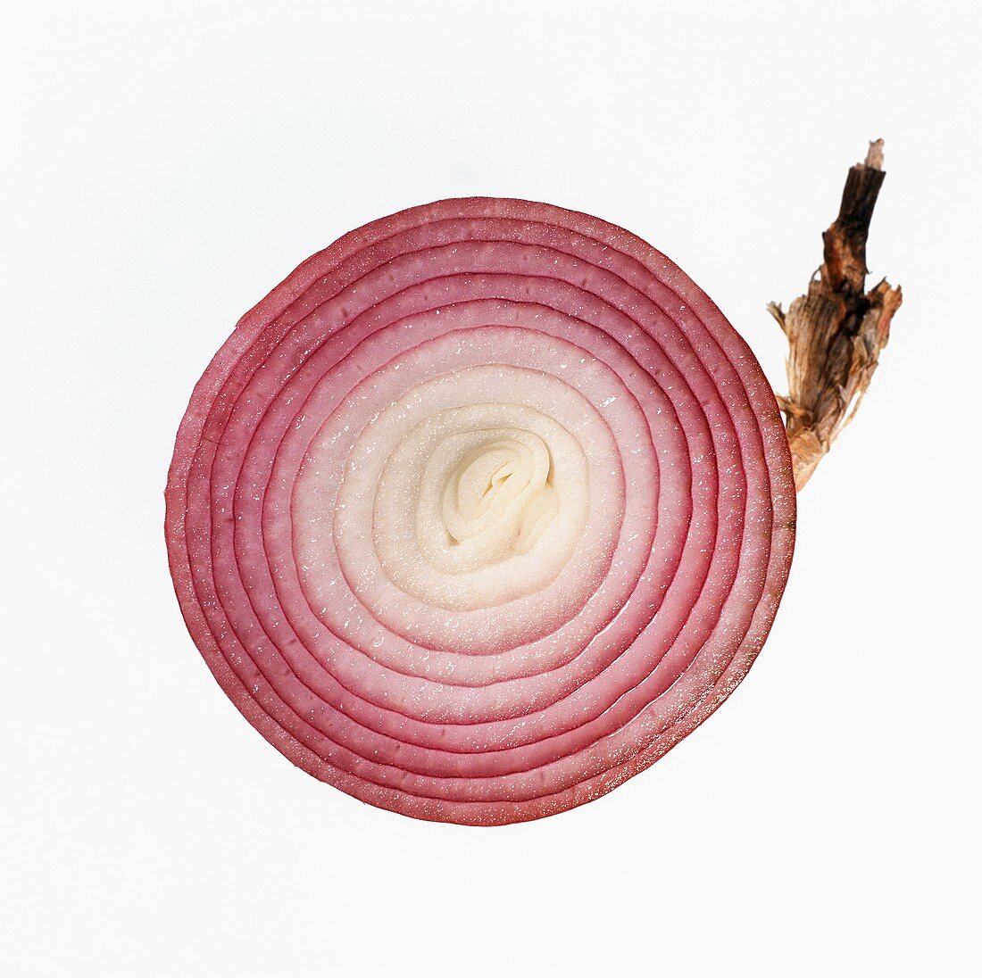 Red Onion Slice on White Background