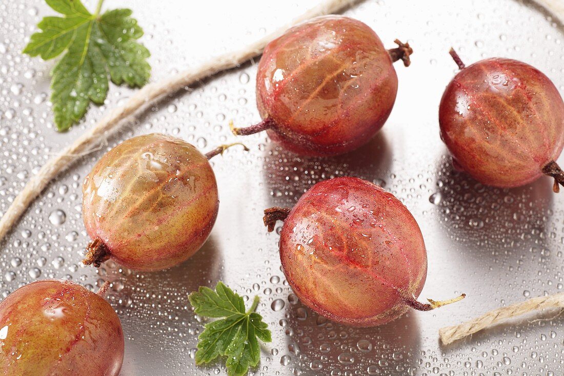 Red gooseberries with drops of water