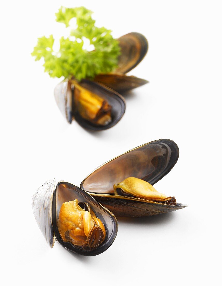 Four mussels with parsley