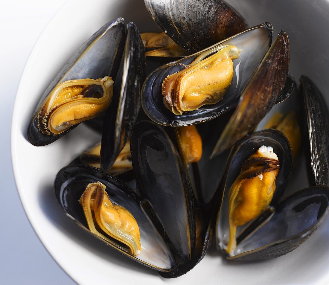 Mussels in a bowl (close up)