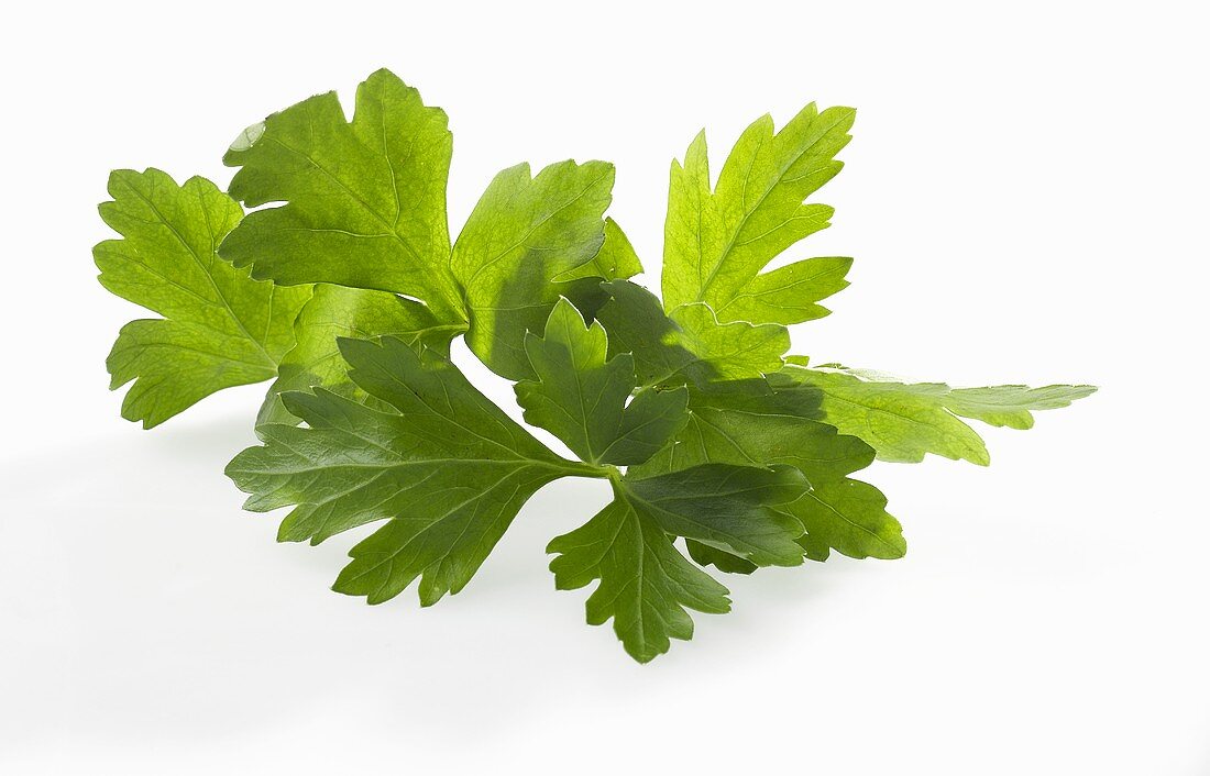 Flat parsley leaves