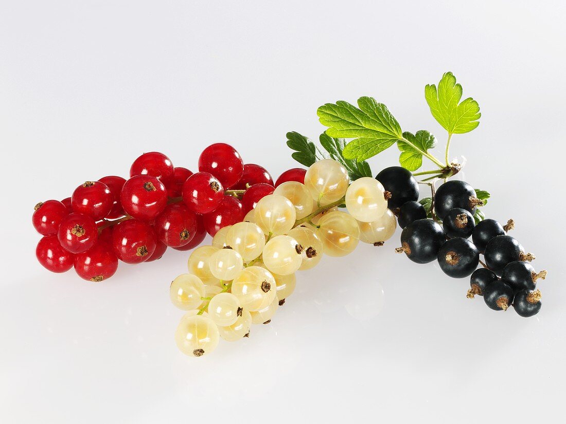 Fresh currents with leaves (red, white, black)