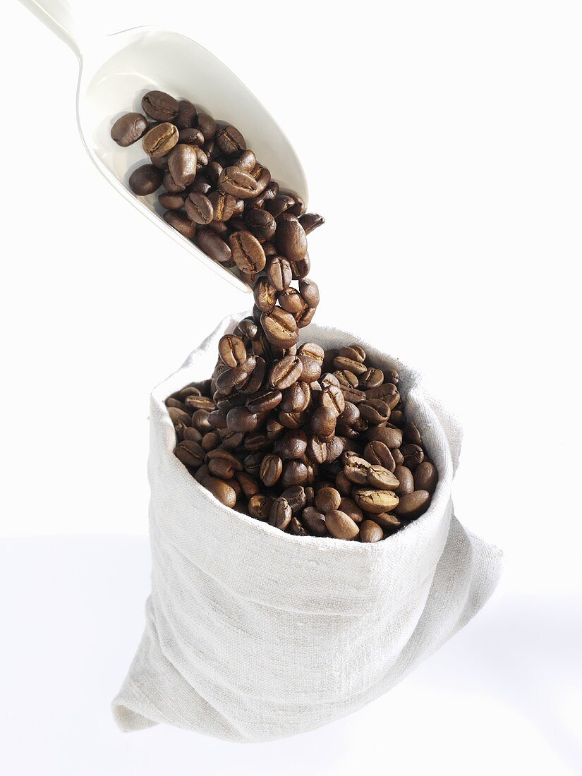 Kaffeebohnen in Sack schütten