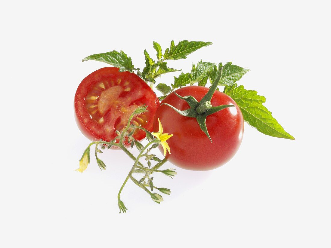 Tomaten mit Blättern und Blüten