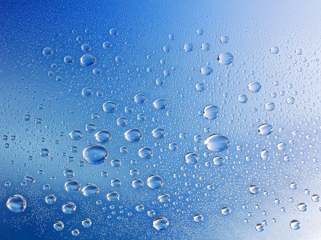 Drops of water on a glass platter