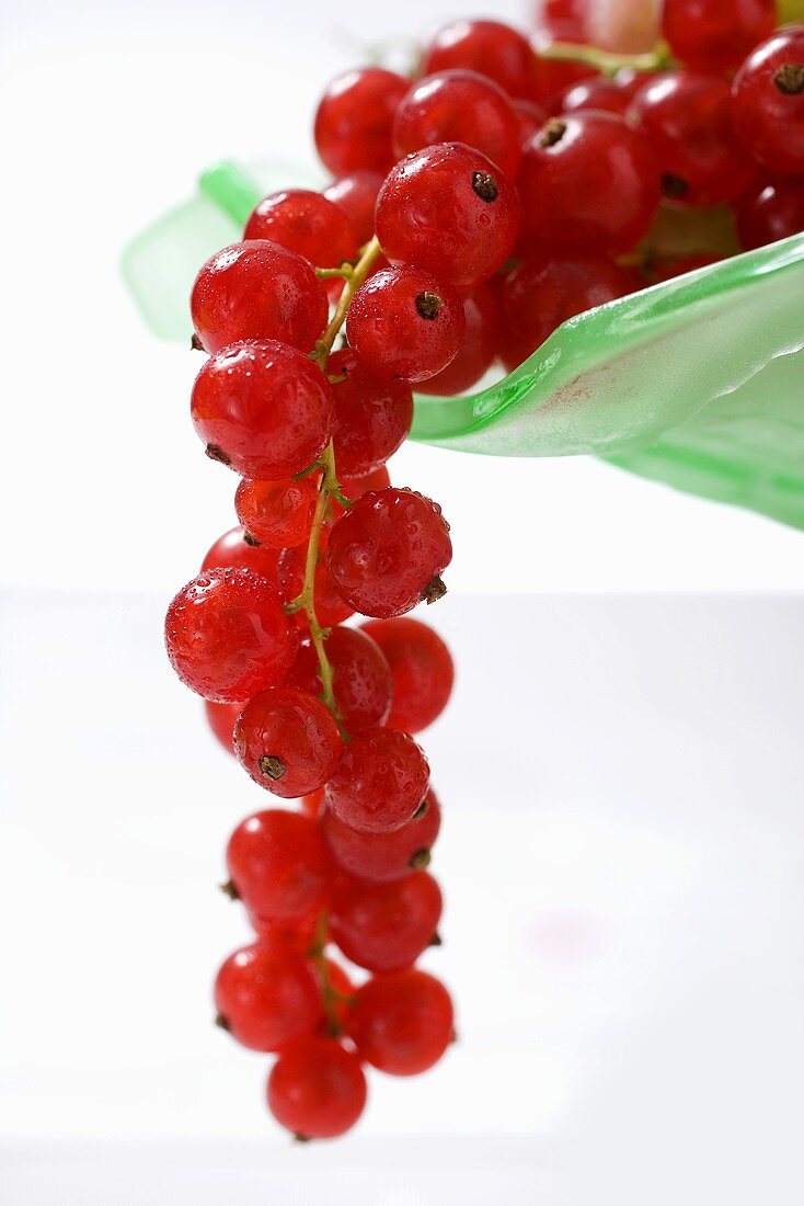 Red currants hanging from a fruit bowl