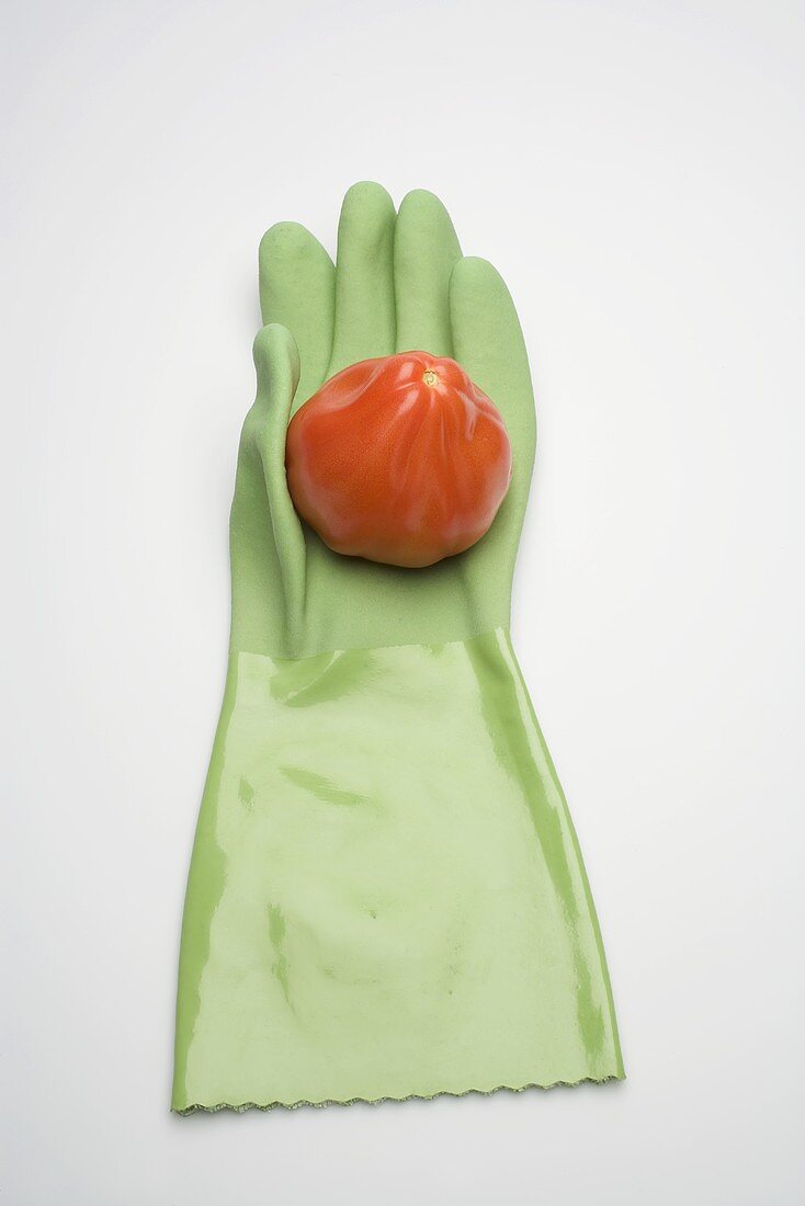 Tomato on green rubber glove