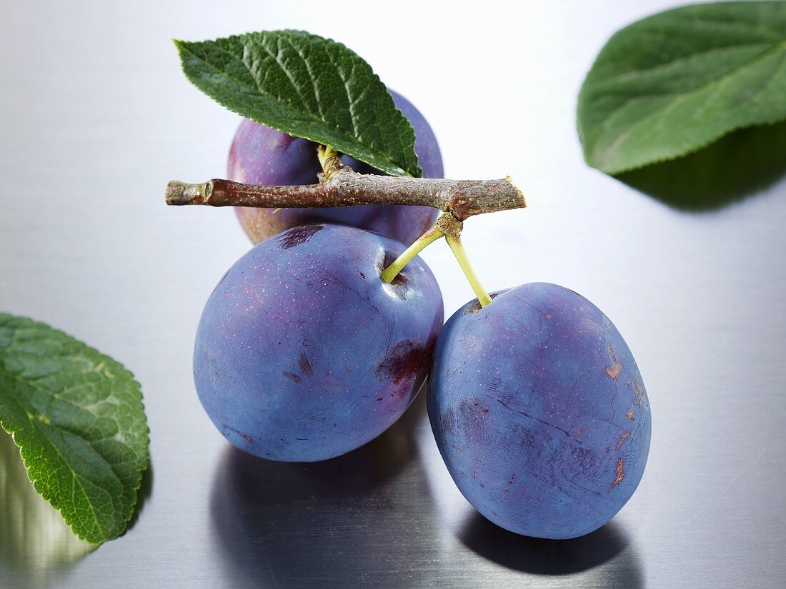 Plums (variety: Hanita) with twig and leaf