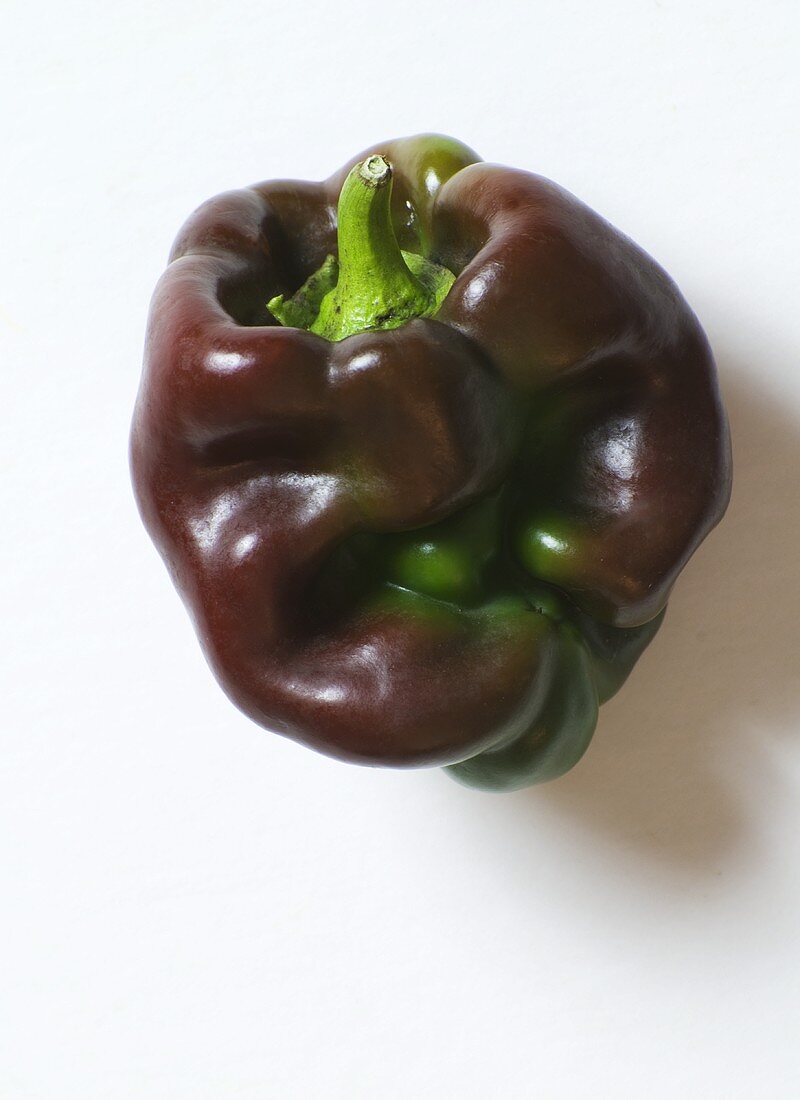 Organic "Chocolate" Bell Pepper on White Background