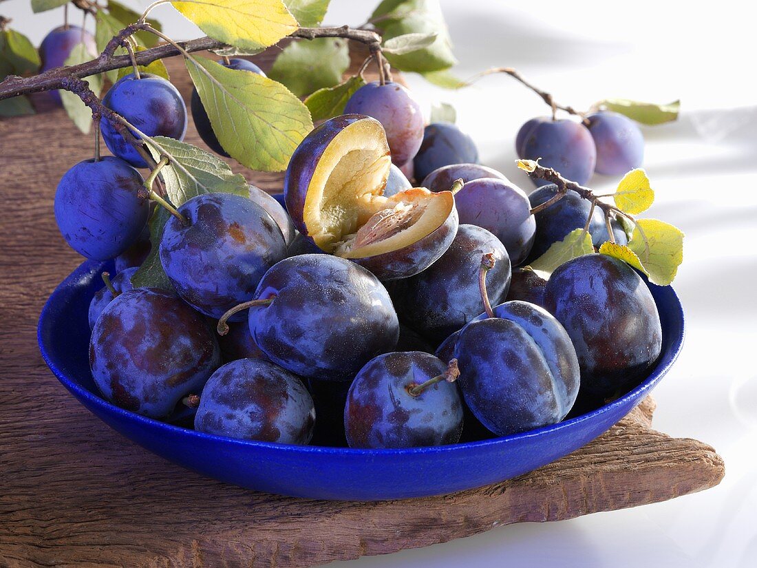 Plums in dish and on branch
