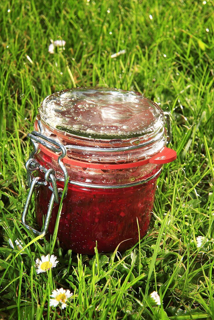 Red berry chutney in grass