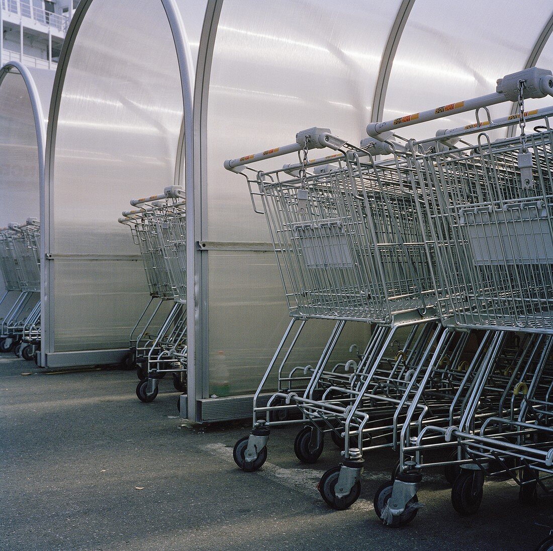Shopping trolleys at a supermarket