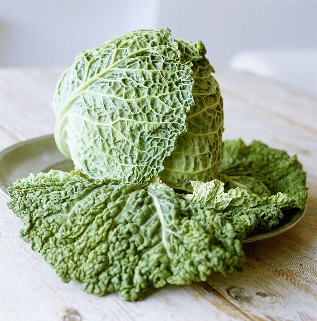 Savoy cabbage on plate