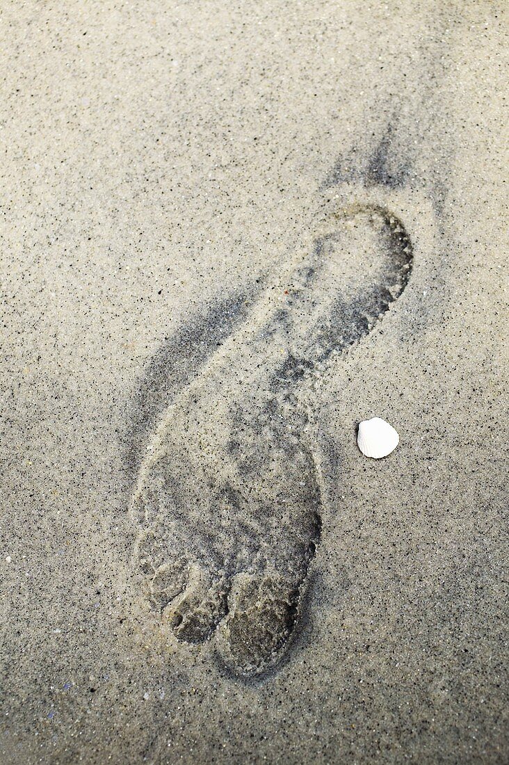 Footprint in sand