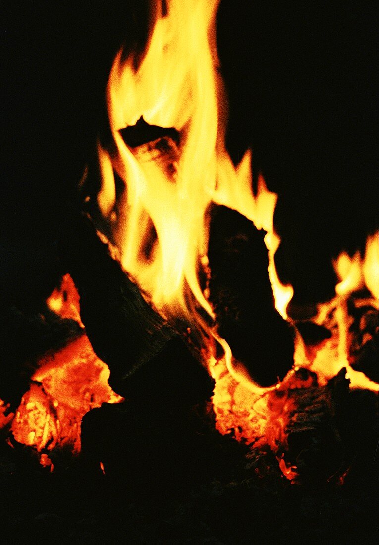 Burning campfire at night