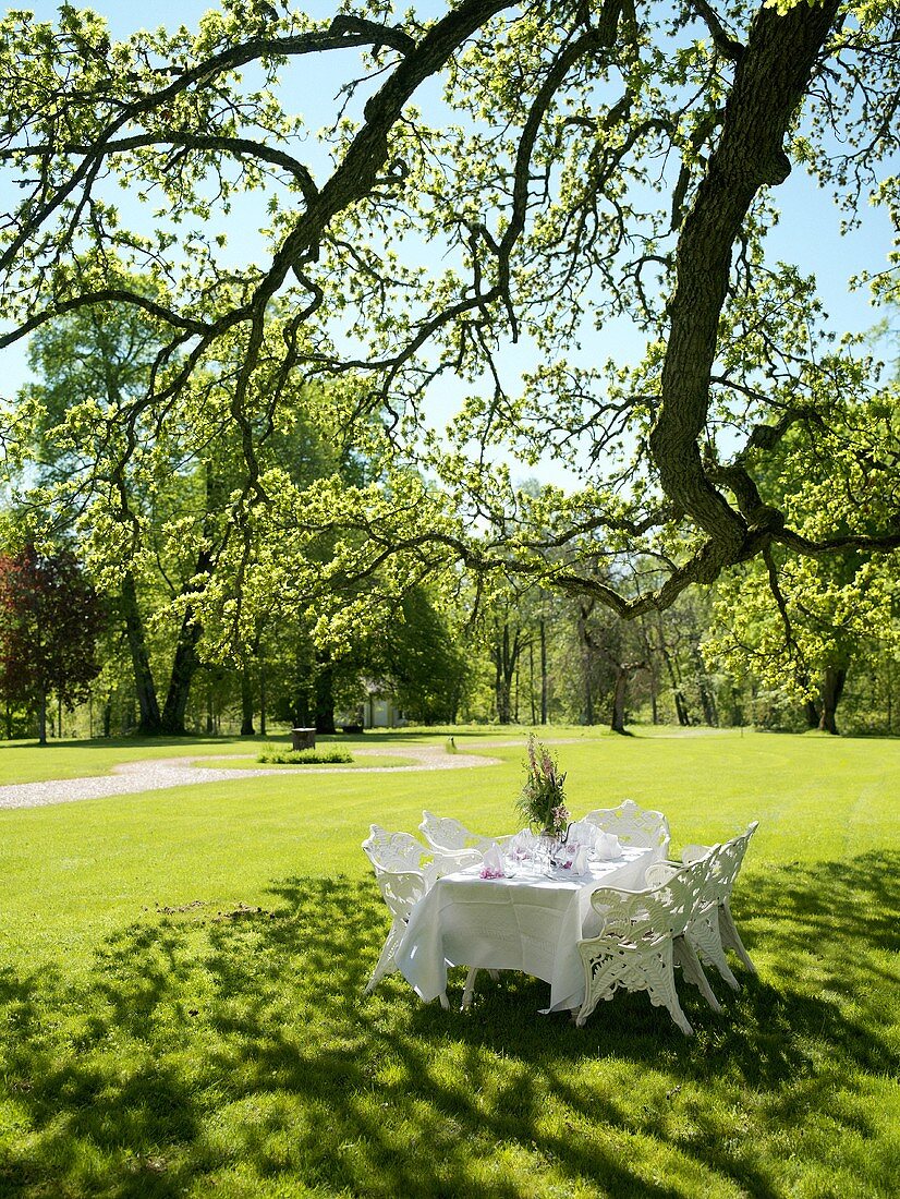 Table laid for party under tree