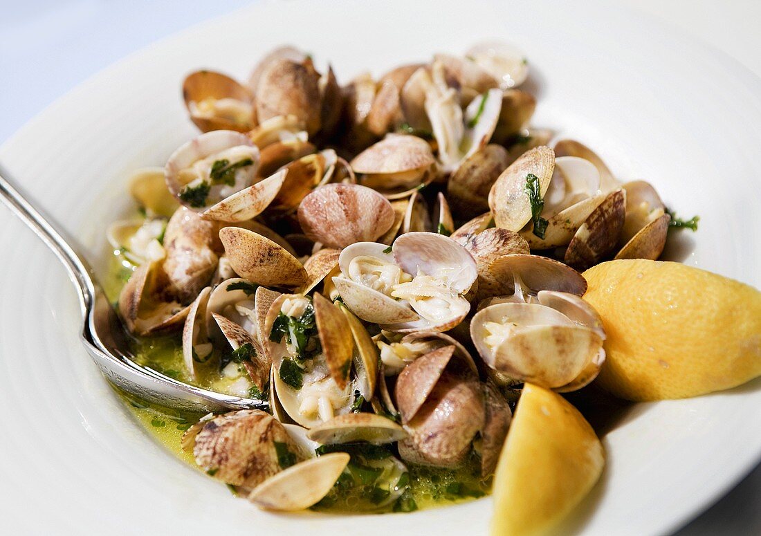 Clams with olive oil and herbs