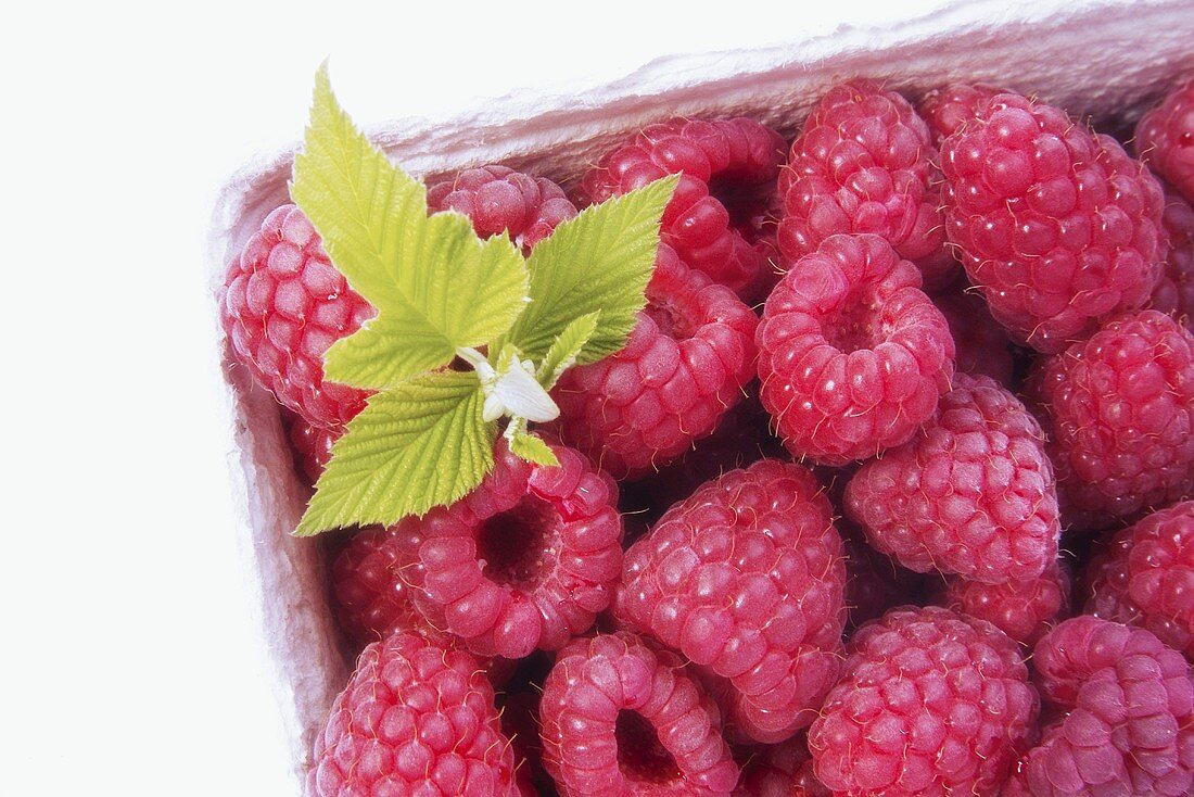 Fresh raspberries in cardboard punnet (detail)