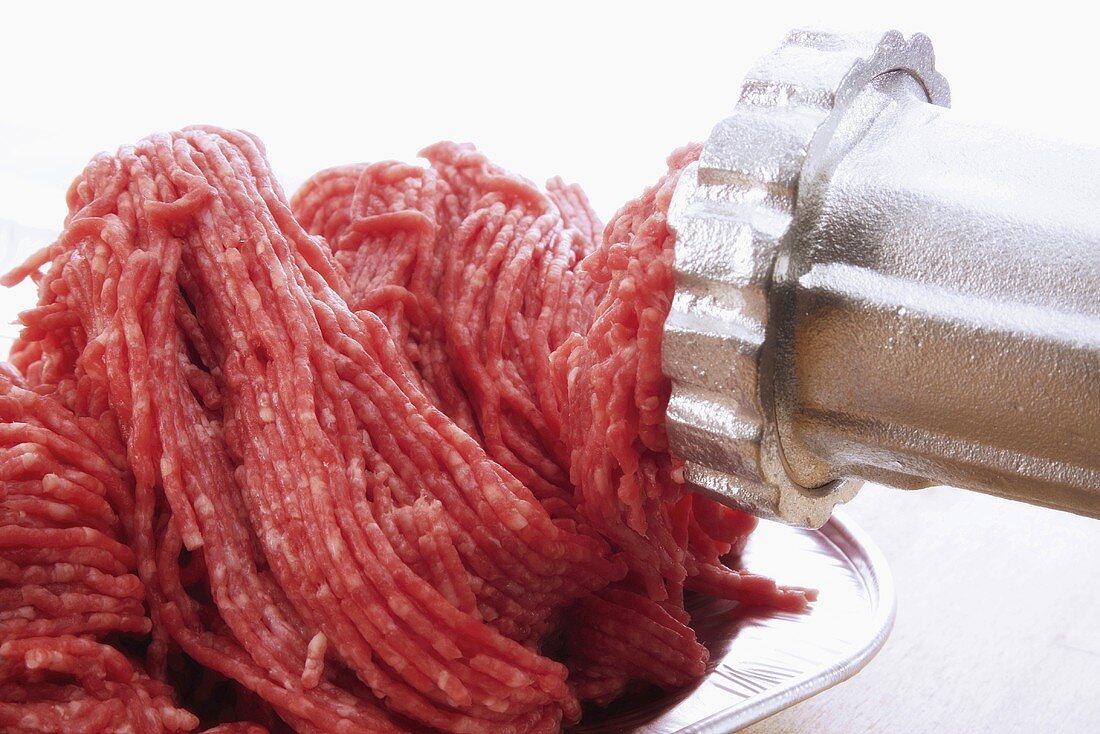 Minced meat emerging from mincer