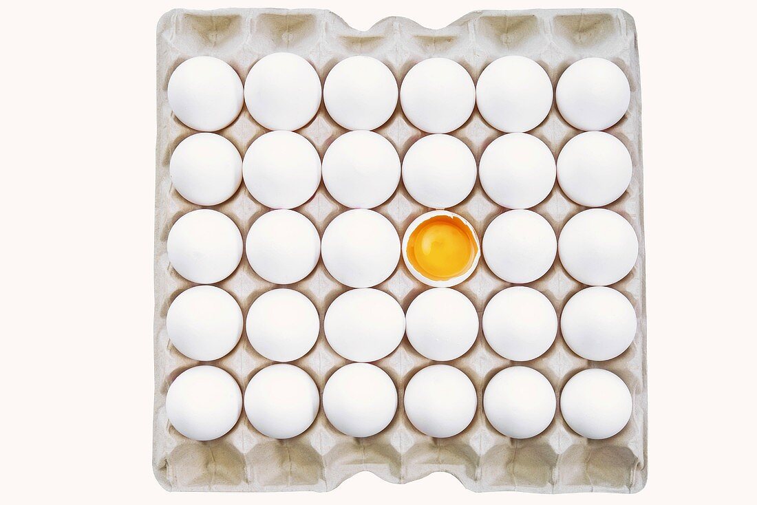 weiße Eier im Eierkarton, eines aufgeschlagen (Draufsicht)