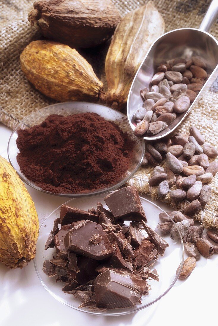 Schokolade, Kakaopulver, Kakaobohnen und Kakaopulver